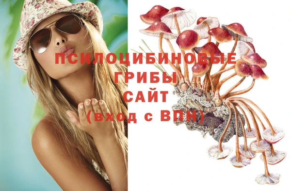 марки nbome Заводоуковск