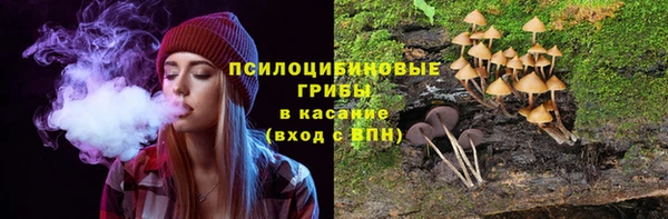 прущая мука Заволжск